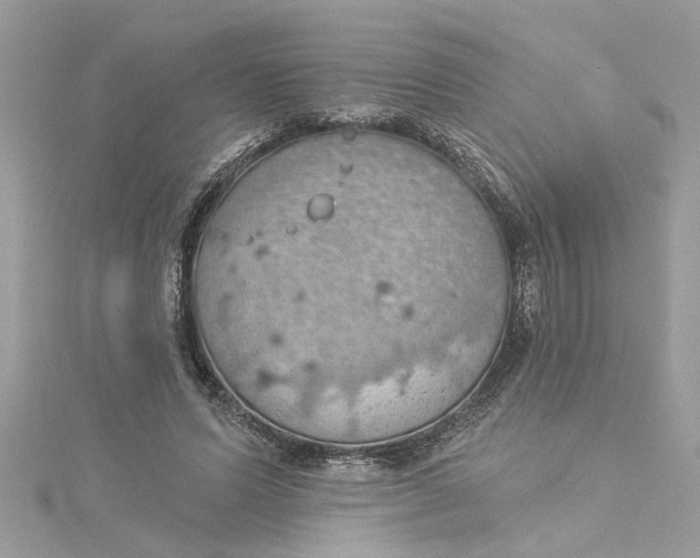 X0000115030591200911161508