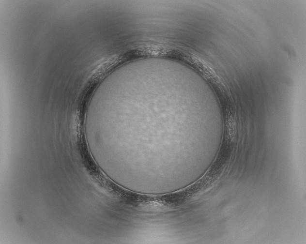 X0000115030594200911161508