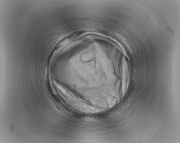 X0000115030596200911161508