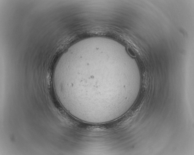 X0000115030597200911161508