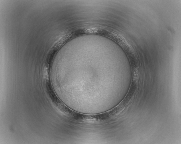 X0000115030598200911161508