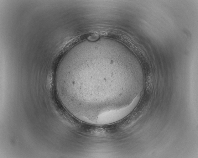 X0000115030600200911161508