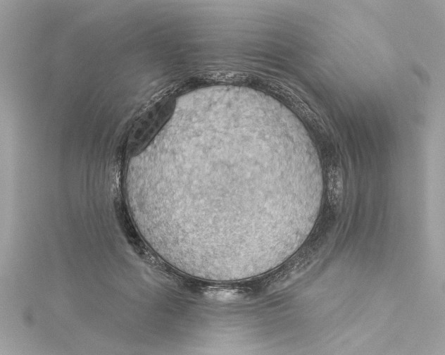 X0000115030602200911161508