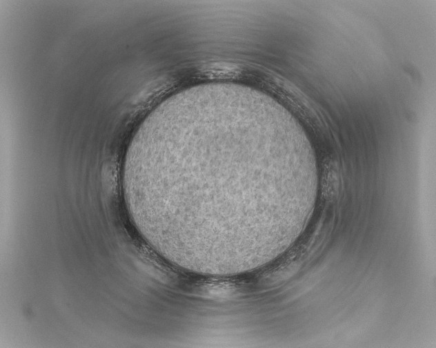 X0000115030604200911161508