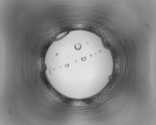 X0000115030605200911161508