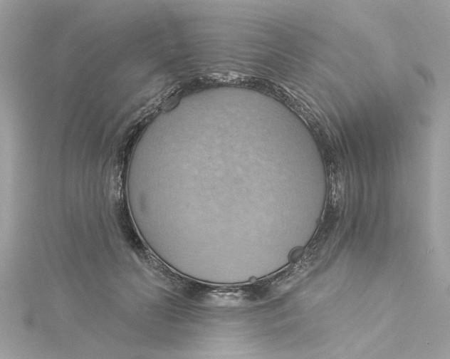 X0000115030606200911161508