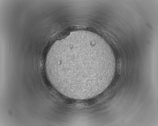 X0000115030608200911161508