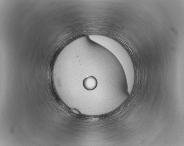 X0000115030609200911161508