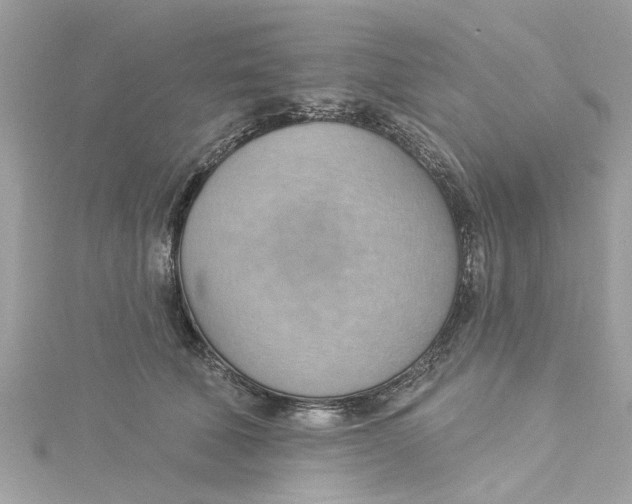 X0000115030610200911161508