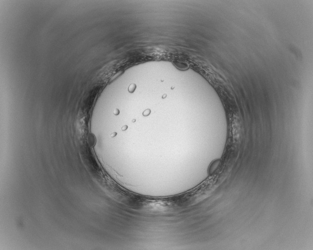 X0000115030611200911161508