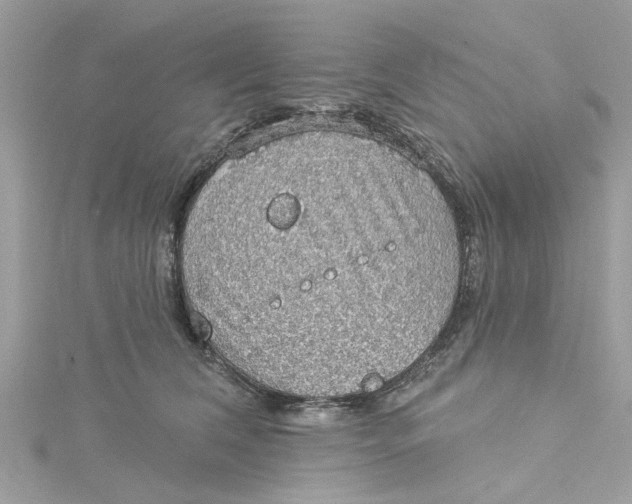 X0000115030612200911161508