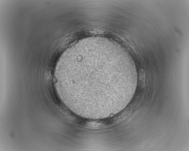 X0000115030614200911161508