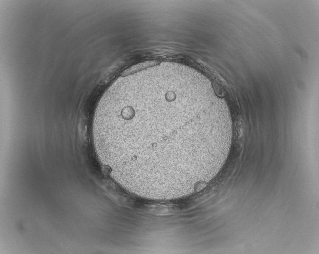 X0000115030615200911161508