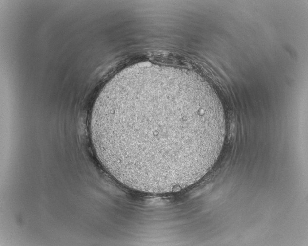 X0000115030616200911161508