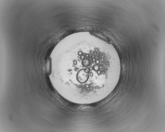 X0000115030617200911161508