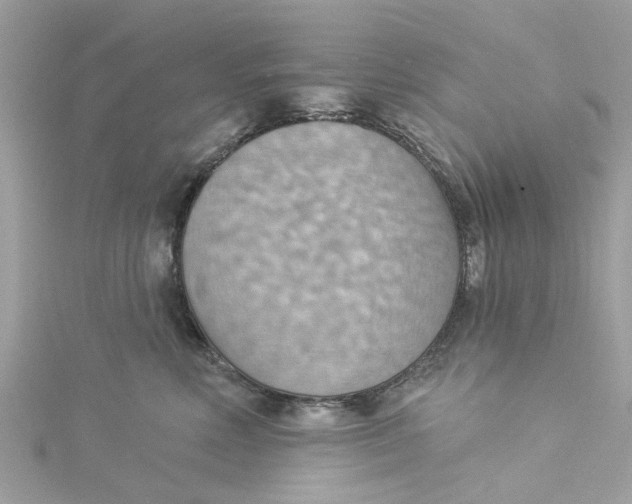 X0000115030618200911161508