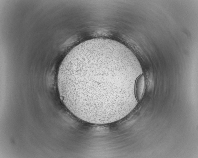 X0000115030619200911161508