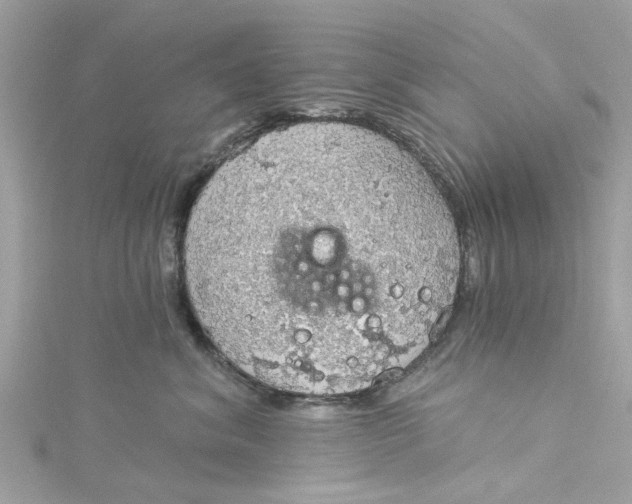 X0000115030620200911161508