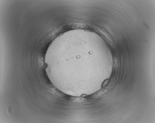 X0000115030621200911161508