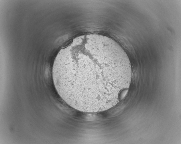 X0000115030623200911161508