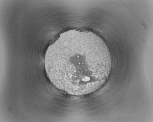 X0000115030624200911161508