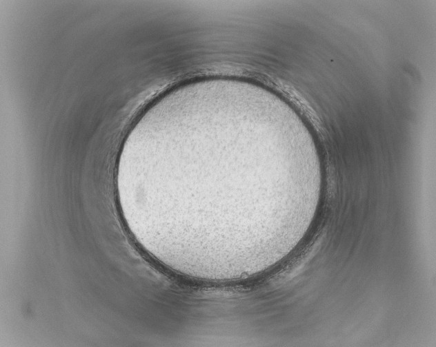 X0000115030625200911161507