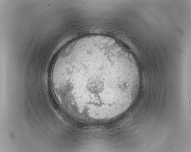 X0000115030626200911161507