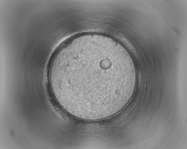 X0000115030628200911161507