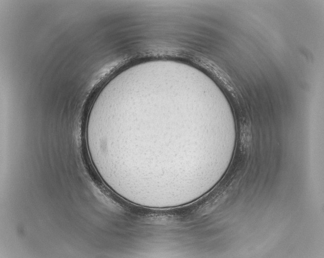 X0000115030629200911161507