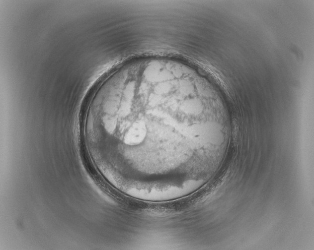 X0000115030630200911161507