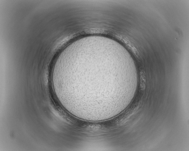 X0000115030631200911161507