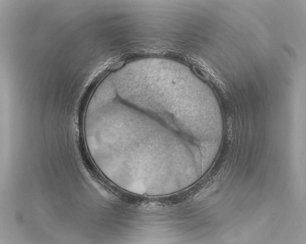 X0000115030634200911161507