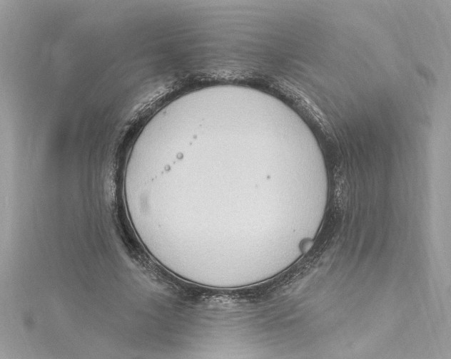 X0000115030635200911161507