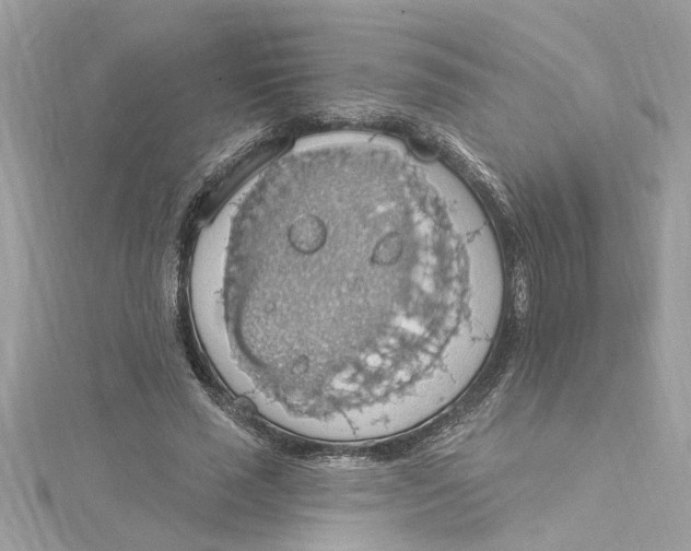 X0000115030637200911161507