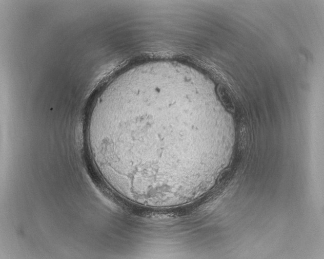 X0000115030638200911161507