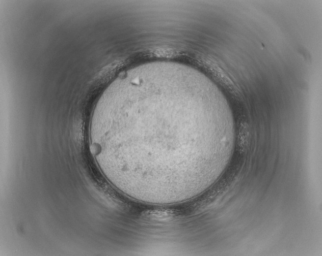 X0000115030639200911161507