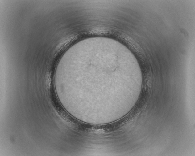 X0000115030640200911161507