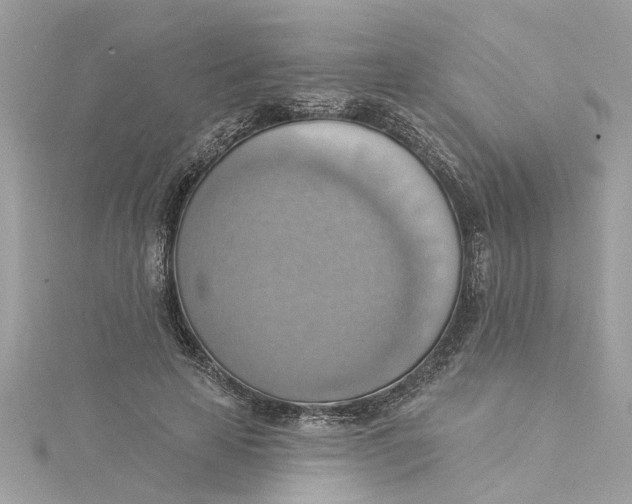 X0000115030641200911161507