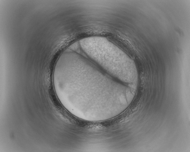 X0000115030642200911161507