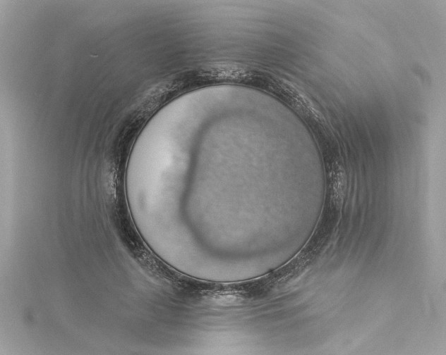 X0000115030643200911161508