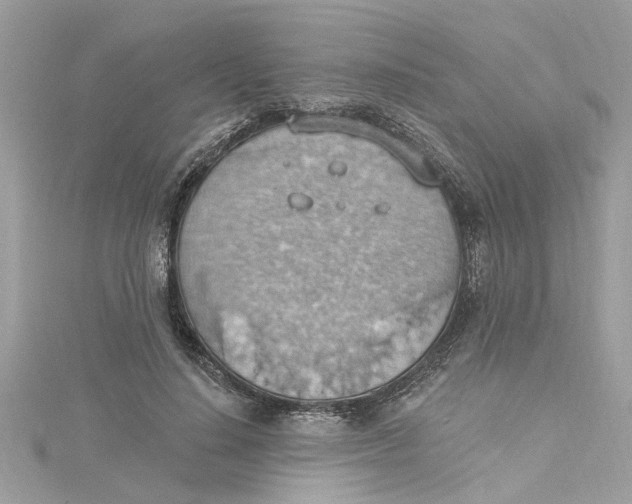 X0000115030644200911161508