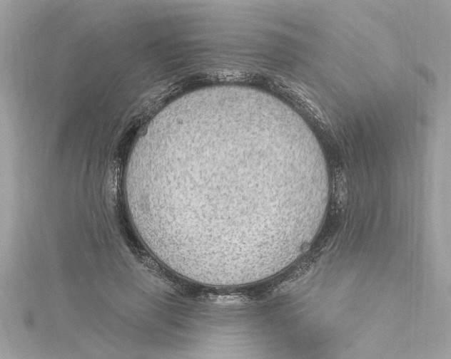 X0000115030645200911161508