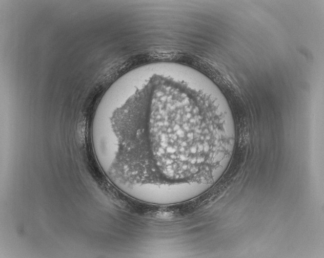 X0000115030647200911161508