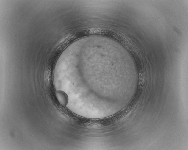 X0000115030648200911161508