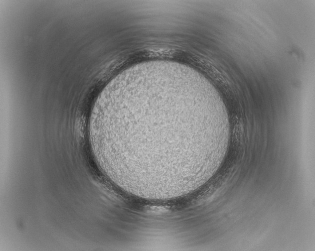 X0000115030649200911161508