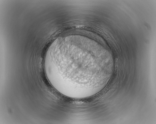 X0000115030650200911161508