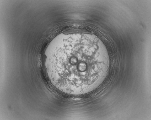 X0000115030651200911161508