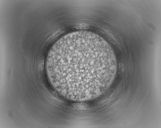 X0000115030652200911161508