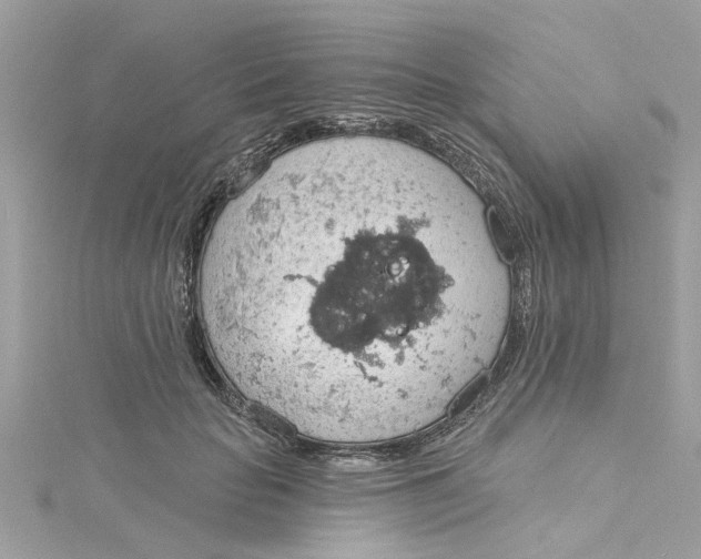 X0000115030653200911161508