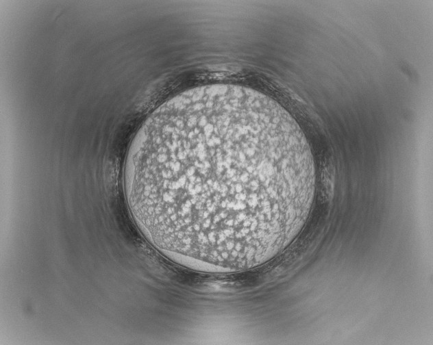 X0000115030657200911161508